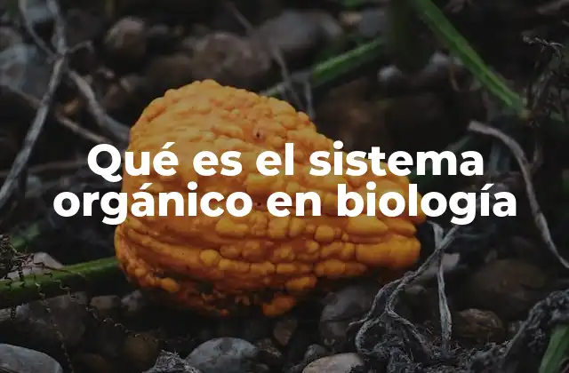 Qué es el Sistema Orgánico en Biología