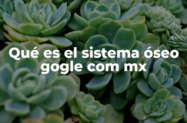 Qué es el Sistema Óseo Gogle Com Mx