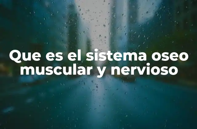 Que es el Sistema Oseo Muscular y Nervioso