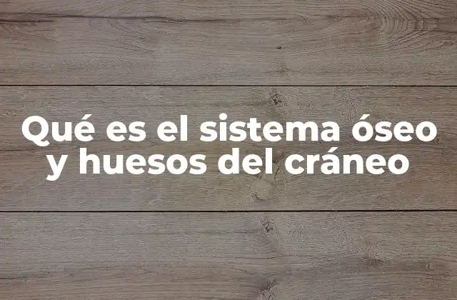 Qué es el Sistema Óseo y Huesos Del Cráneo