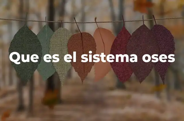 Que es el Sistema Oses