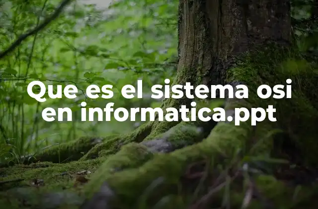El modelo OSI como base para comprender la comunicación en redes