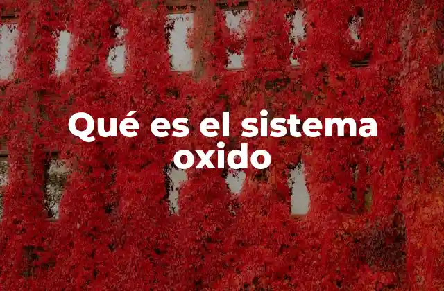 Qué es el Sistema Oxido