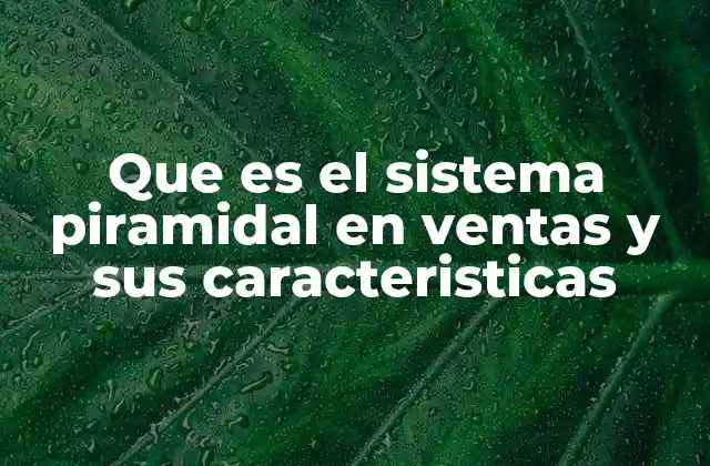 Que es el Sistema Piramidal en Ventas y Sus Caracteristicas