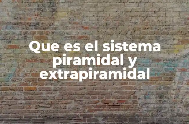 Que es el Sistema Piramidal y Extrapiramidal