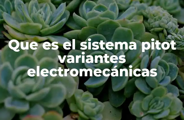 Que es el Sistema Pitot Variantes Electromecánicas