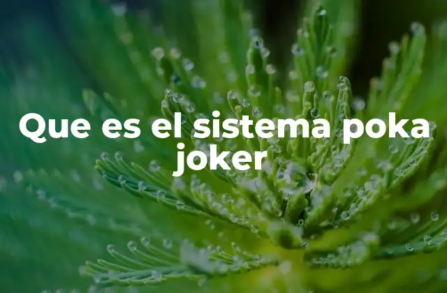 Que es el Sistema Poka Joker