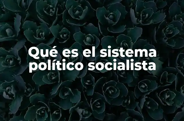Qué es el Sistema Político Socialista