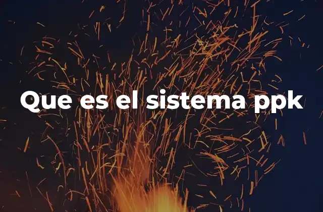 Que es el Sistema Ppk