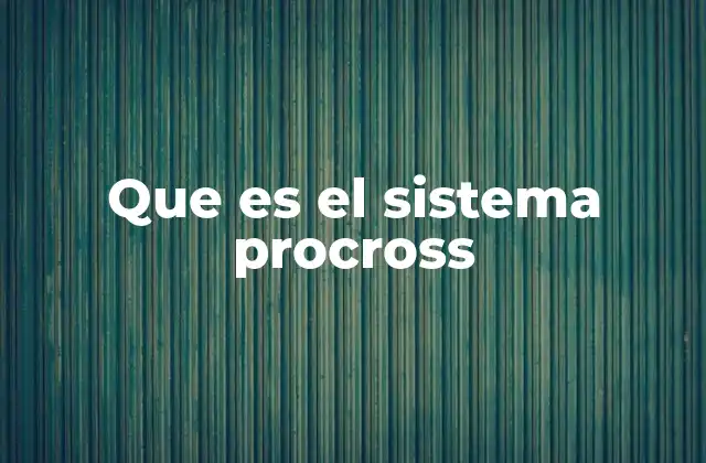 Que es el Sistema Procross