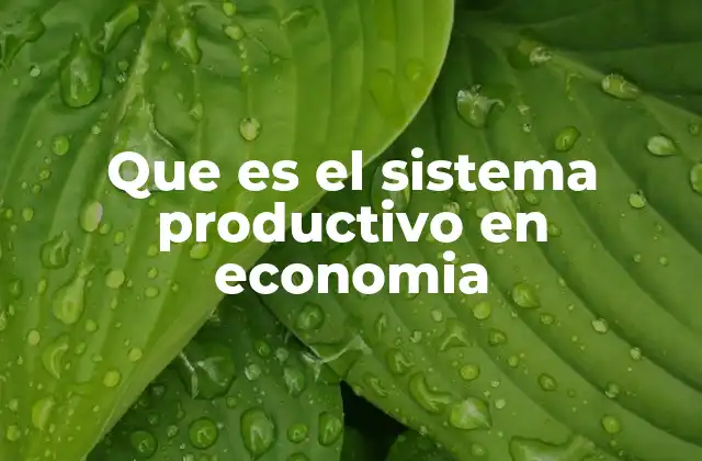 Que es el Sistema Productivo en Economia