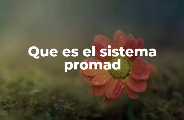 Que es el Sistema Promad
