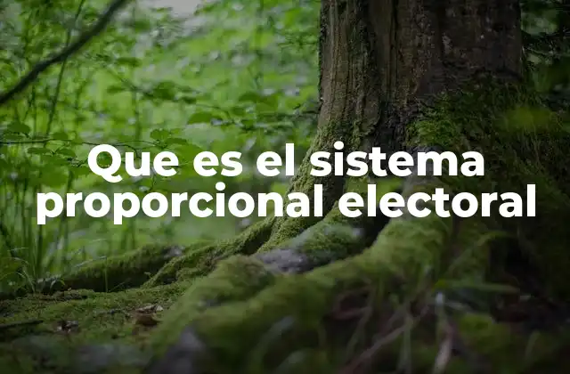 Que es el Sistema Proporcional Electoral