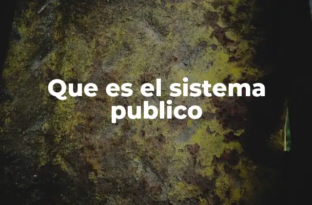 Que es el Sistema Publico