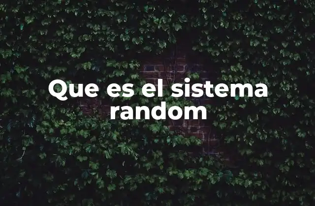 Que es el Sistema Random
