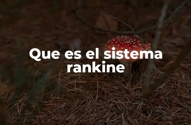 Que es el Sistema Rankine
