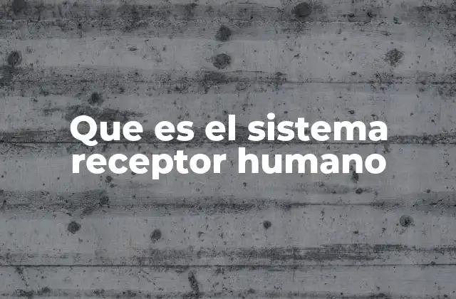 Que es el Sistema Receptor Humano