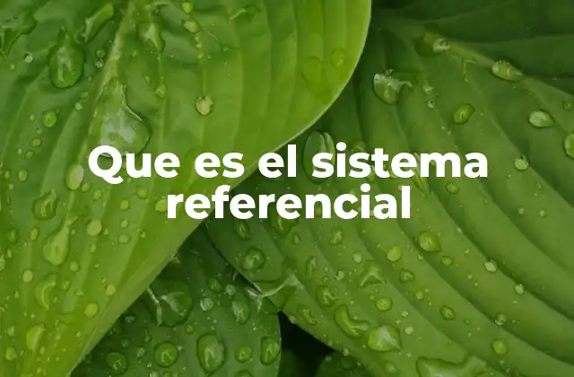 Que es el Sistema Referencial