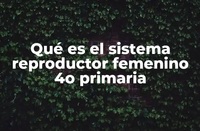 Qué es el Sistema Reproductor Femenino 4o Primaria