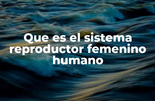 Que es el Sistema Reproductor Femenino Humano