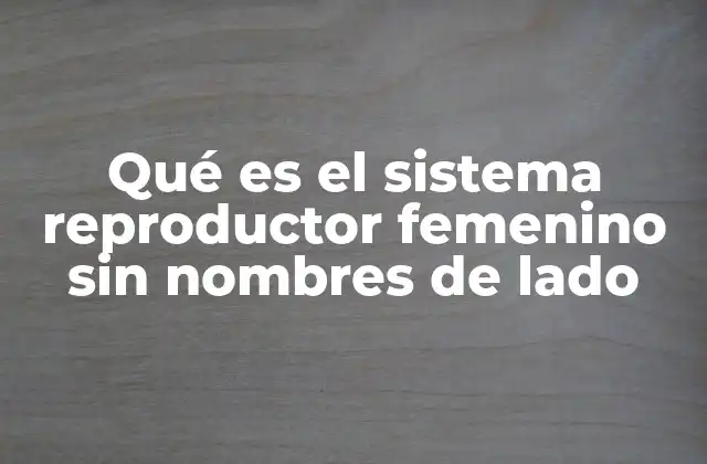 El funcionamiento del sistema reproductor femenino