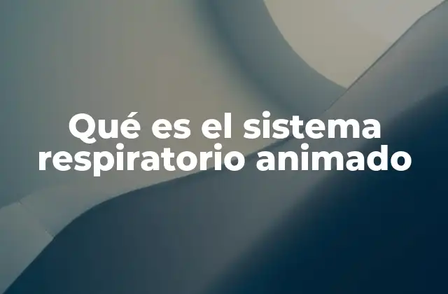 Qué es el Sistema Respiratorio Animado