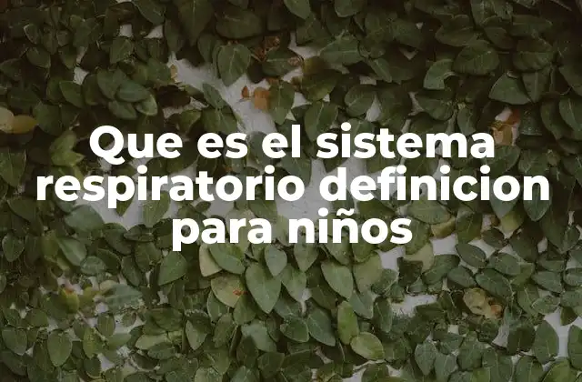 Que es el Sistema Respiratorio Definicion para Niños