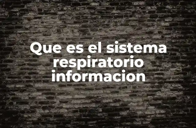 Que es el Sistema Respiratorio Informacion