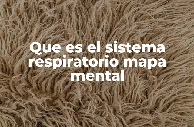 Que es el Sistema Respiratorio Mapa Mental