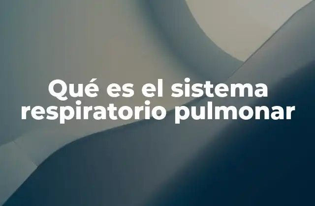 Qué es el Sistema Respiratorio Pulmonar