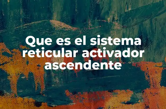 Que es el Sistema Reticular Activador Ascendente