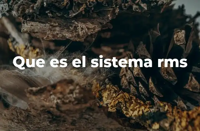 Que es el Sistema Rms