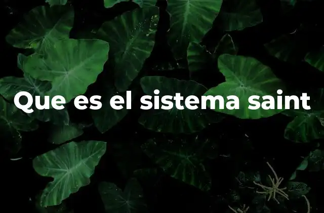 Que es el Sistema Saint