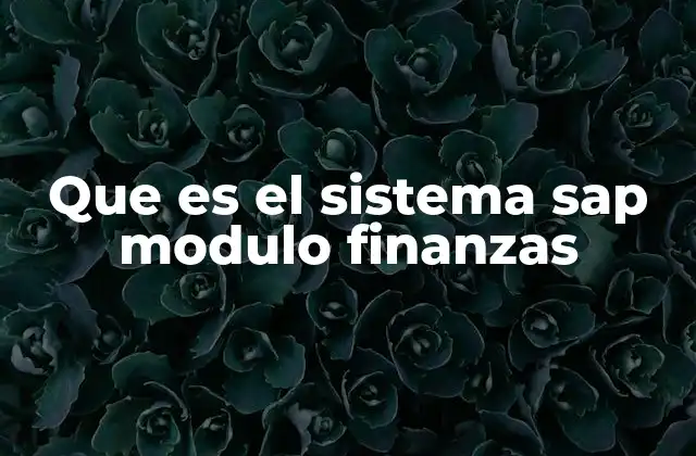 Que es el Sistema Sap Modulo Finanzas