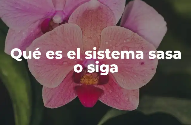 Qué es el Sistema Sasa o Siga