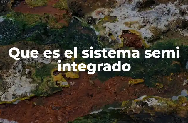 Que es el Sistema Semi Integrado