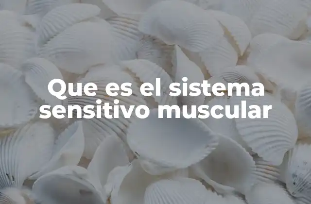 Que es el Sistema Sensitivo Muscular