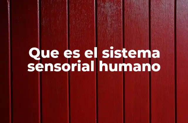 Que es el Sistema Sensorial Humano