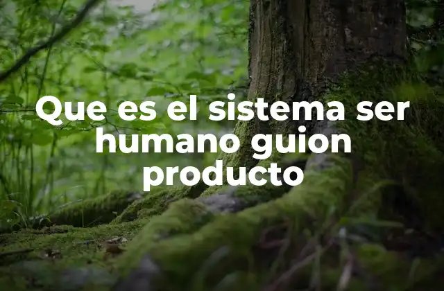 Que es el Sistema Ser Humano Guion Producto