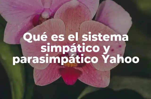 Qué es el Sistema Simpático y Parasimpático Yahoo