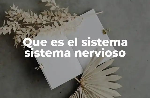 Que es el Sistema Sistema Nervioso
