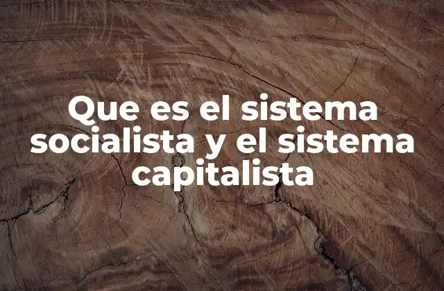 Que es el Sistema Socialista y el Sistema Capitalista