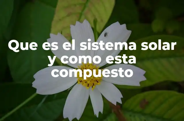La estructura del sistema solar: una mirada general