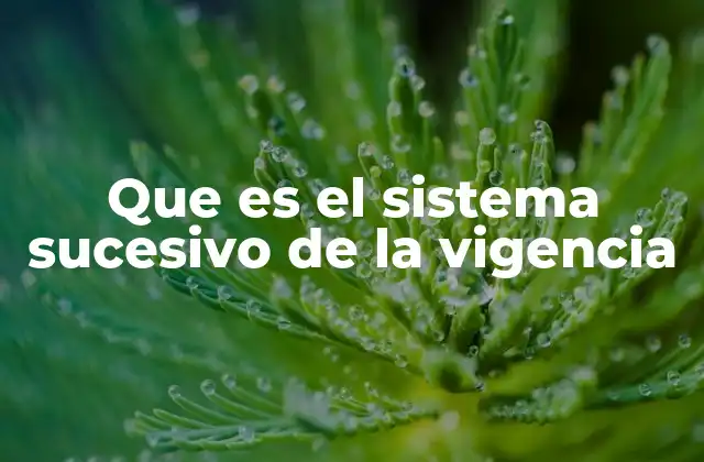 Que es el Sistema Sucesivo de la Vigencia