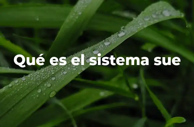 Qué es el Sistema Sue