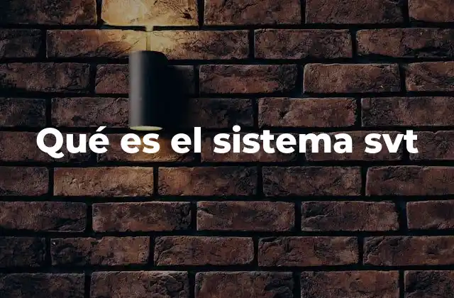 Qué es el Sistema Svt
