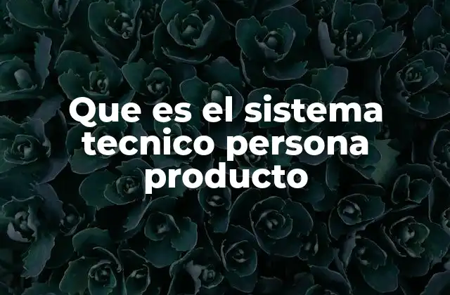 Que es el Sistema Tecnico Persona Producto