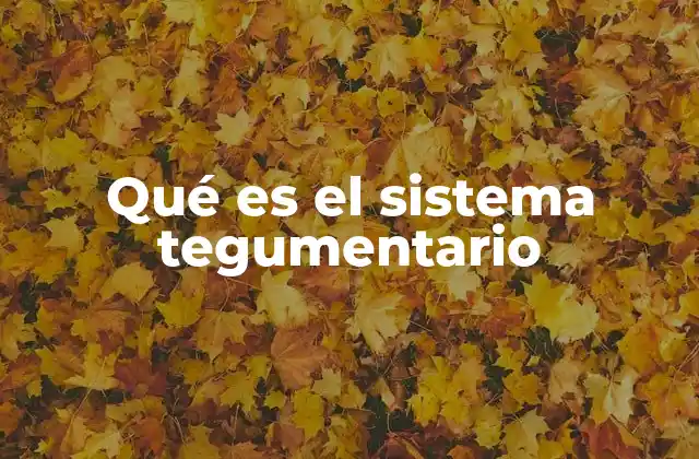 Qué es el Sistema Tegumentario