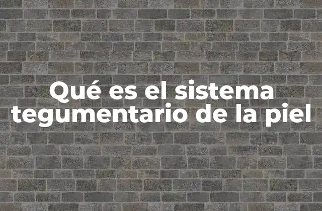 La importancia de la piel en la salud general del cuerpo