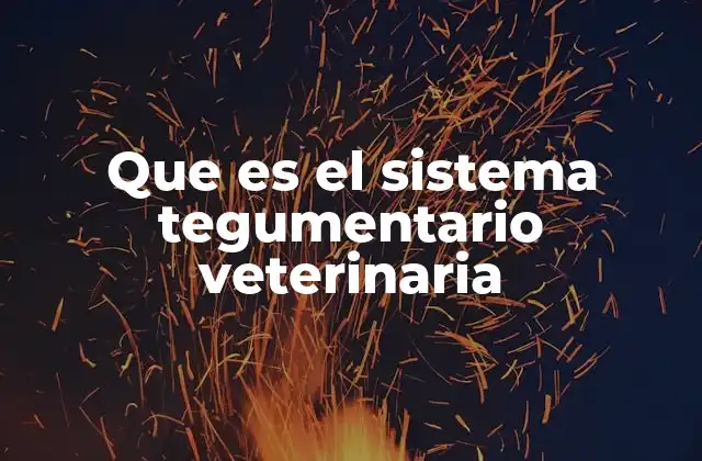 Que es el Sistema Tegumentario Veterinaria